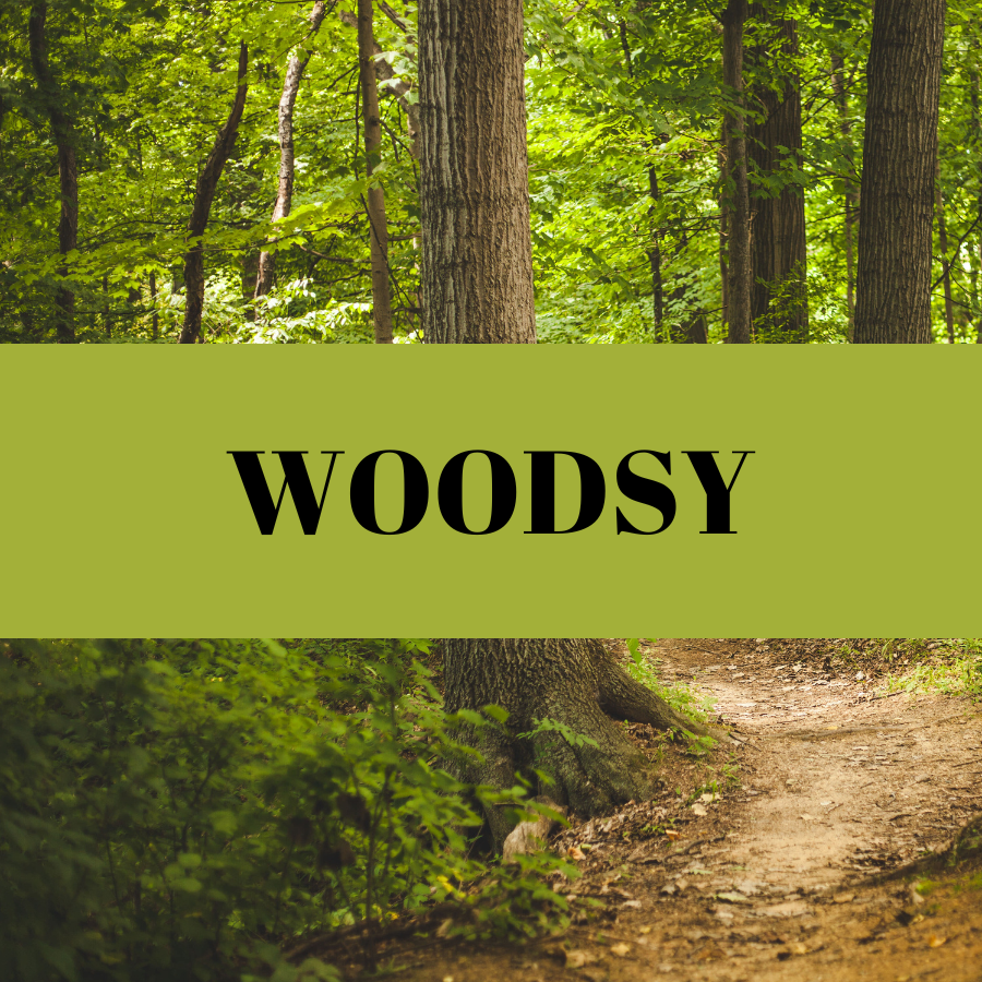 Woodsy (Notes of Cedarwood, Sandalwood, Moss, Spice)