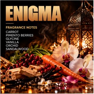 Enigma
