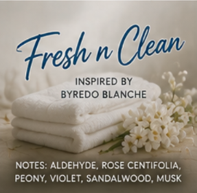 Fresh n Clean